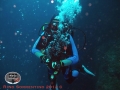 dive inn 2