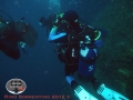 napoli dive inn 3