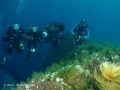 napoli dive inn 4